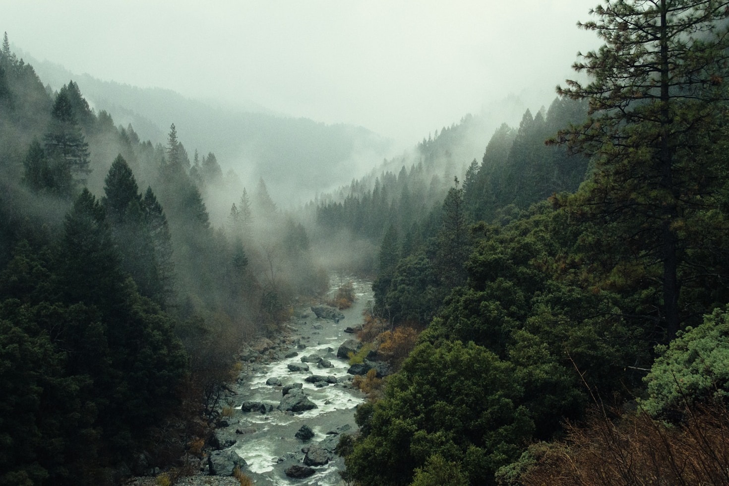 Why Perspective Matters in Landscape Art