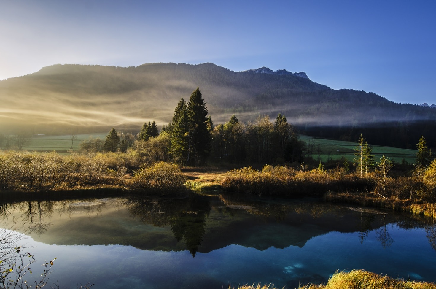 A Deep Dive Into Artistic Landscapes