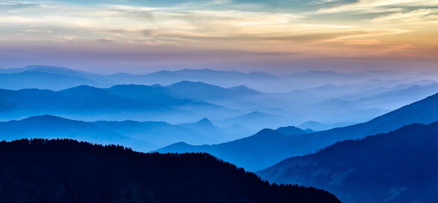 Uncovering the Mysteries of Nature’s Framework