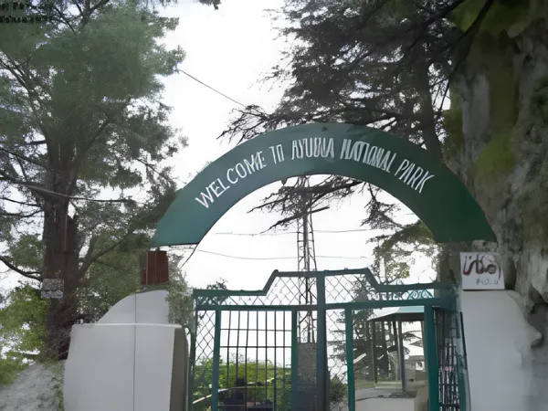 Ayubia National Park