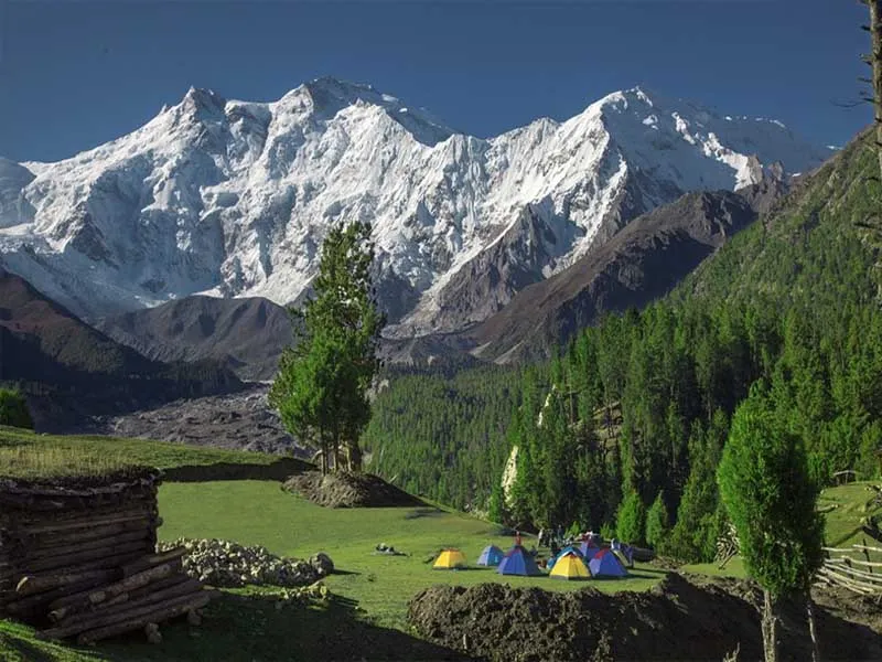 Honeymoon Trip for Fairy Meadows & Nanga Parbat