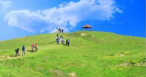 mushkpuri top