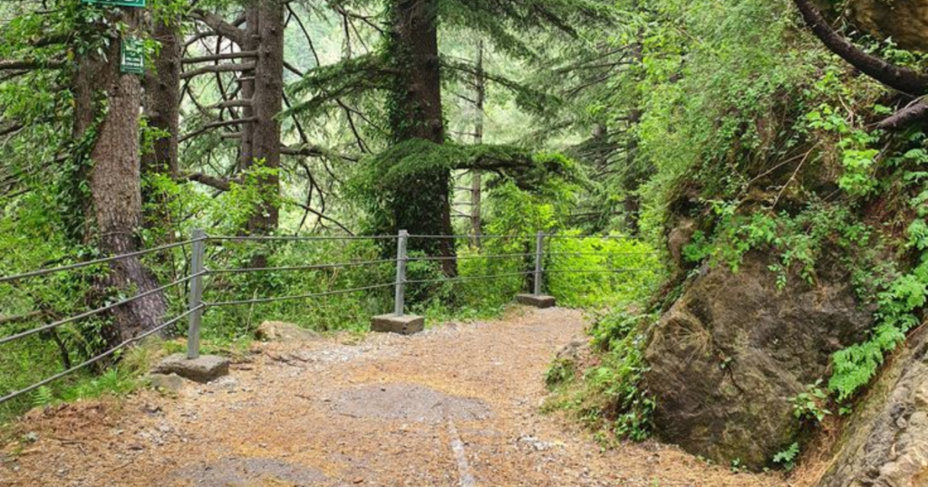 Ayubia National Park