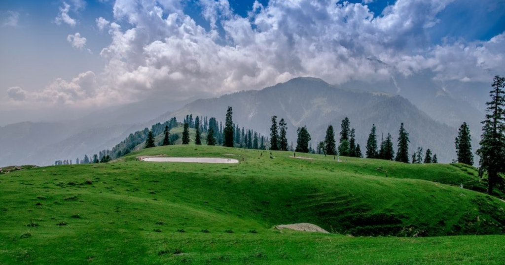 Mukshpuri Top