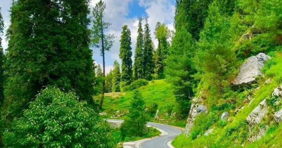 Thandiani road