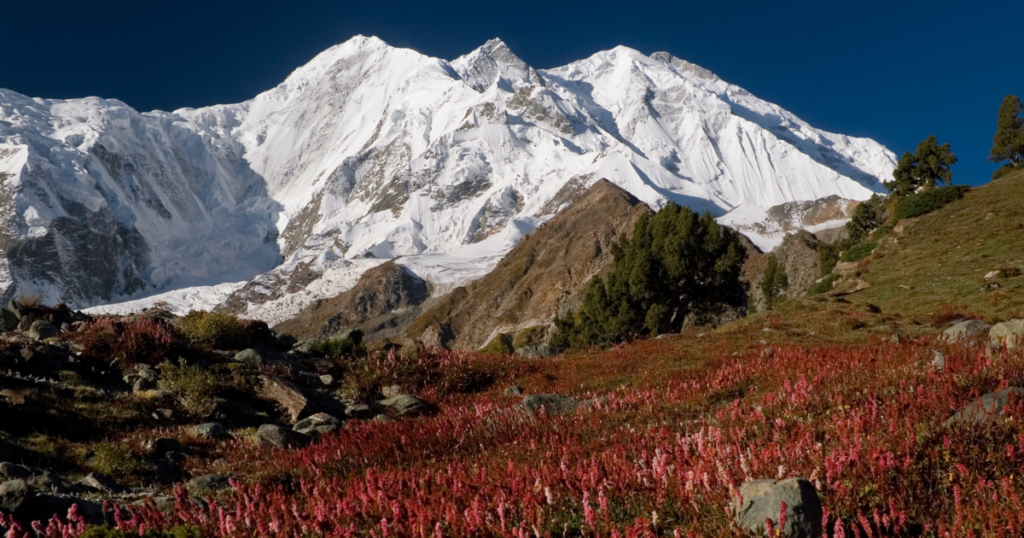 rakaposhi base camp