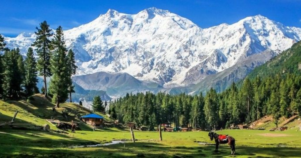 rakaposhi base camp