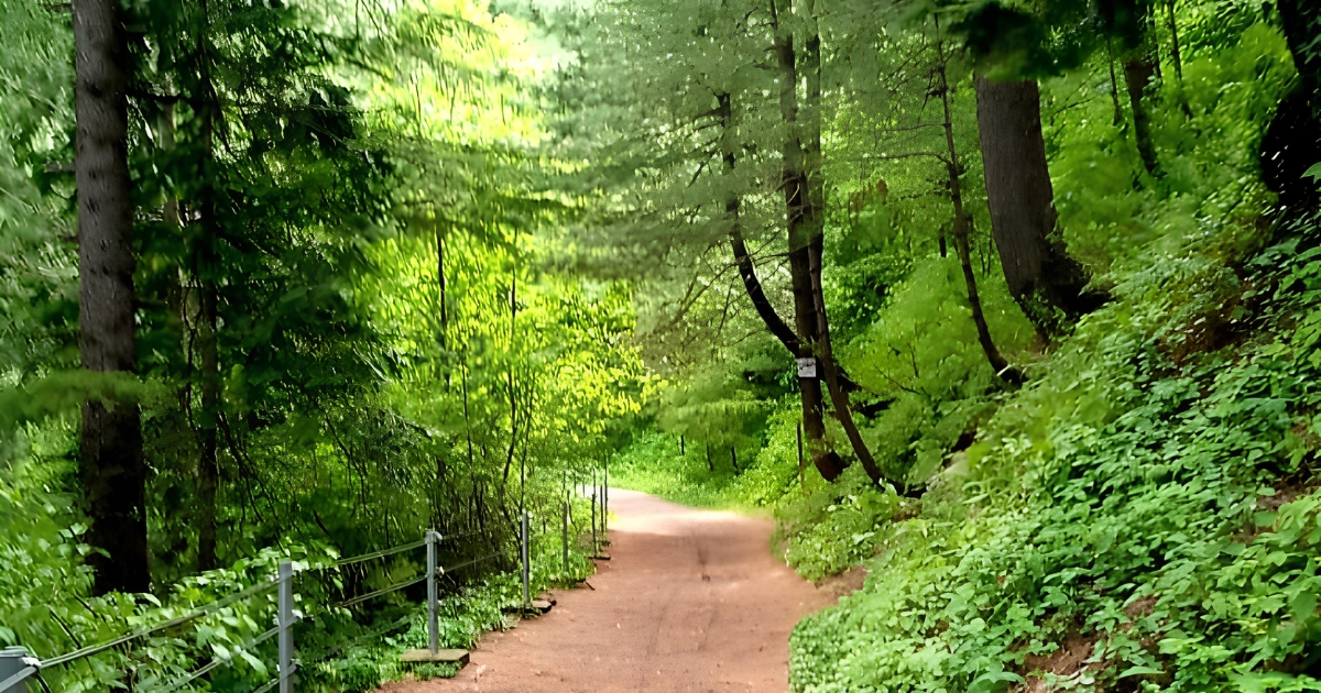 Ayubia National Park