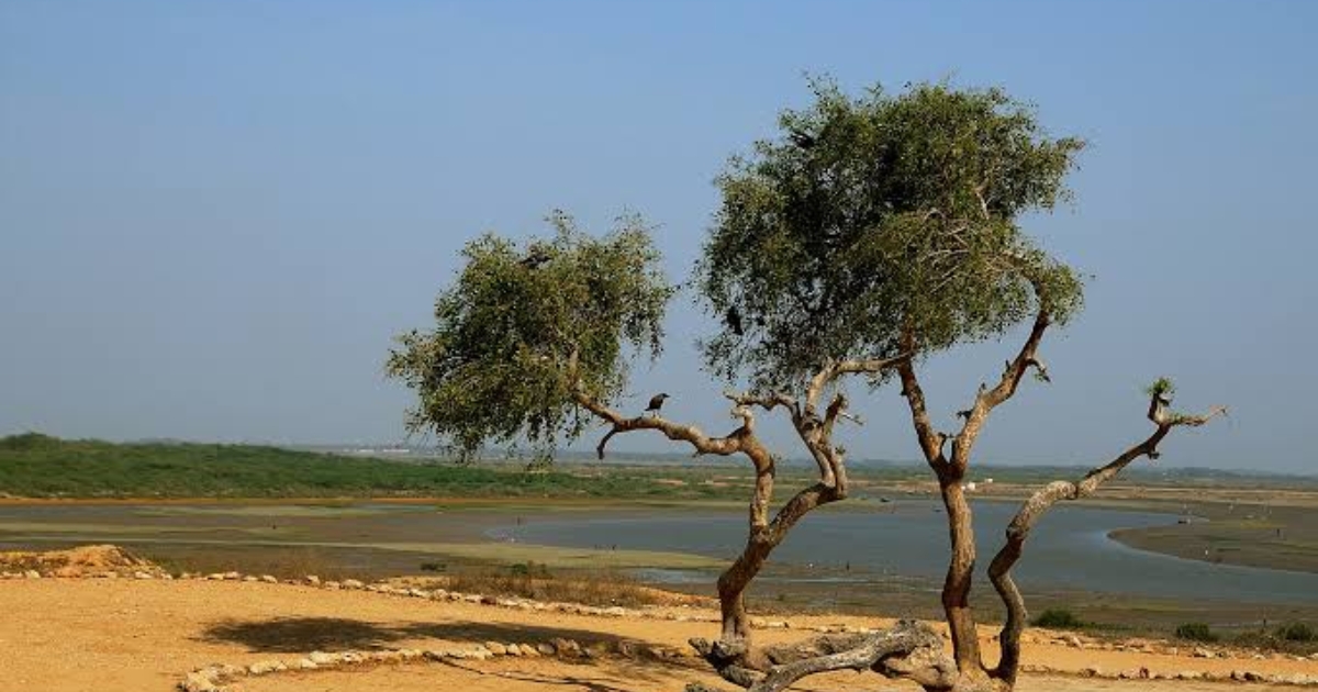 Bhambore