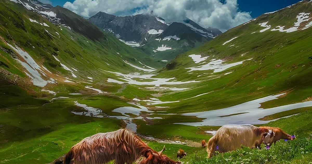 Naran
