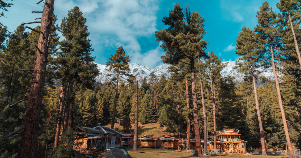 fairy meadows