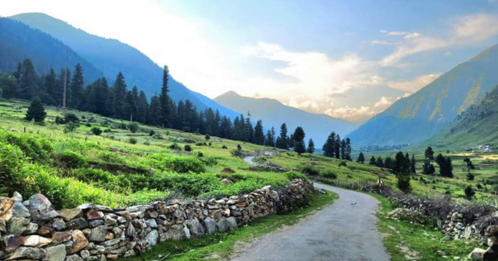fairy meadows