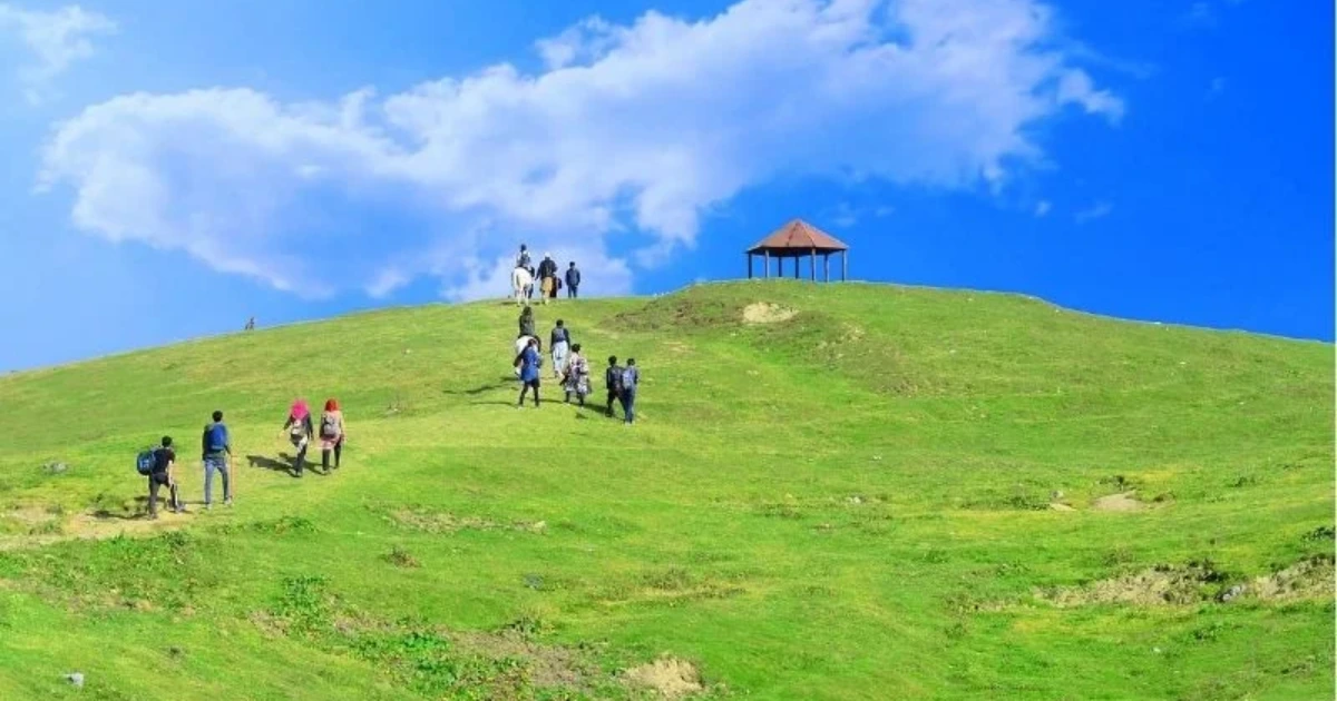 mushkpuri top