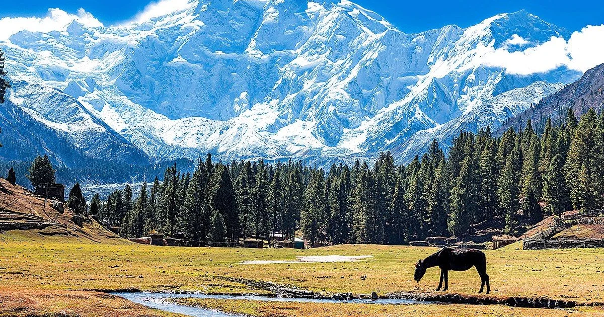 fairy meadows